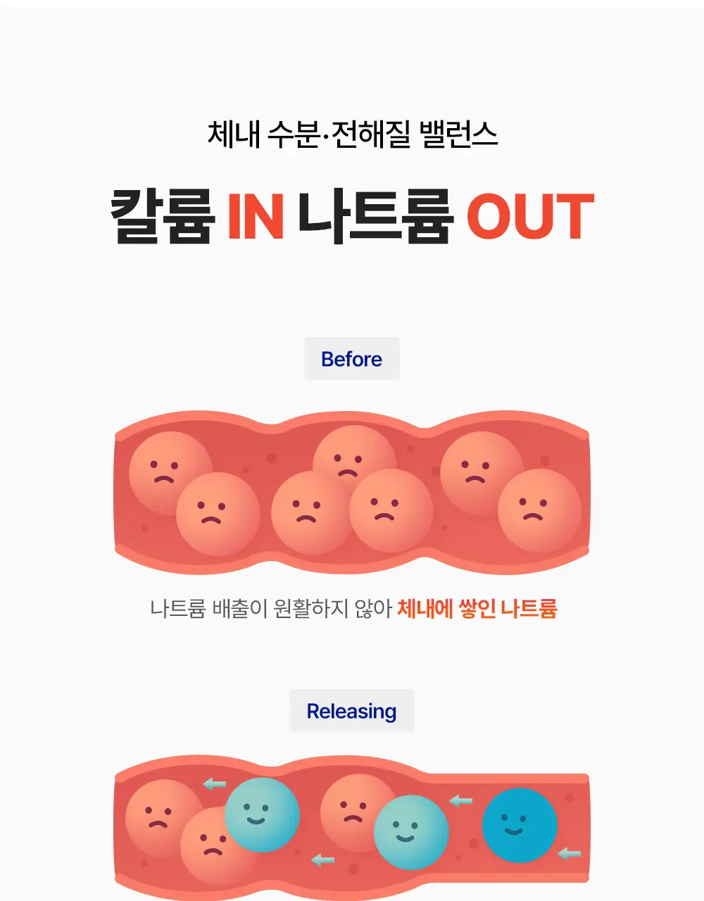 [설인아 PICK] 젠제네틱스 포타슘 칼륨 525mg 다이렉트 20포 (10일분) 상세페이지 3